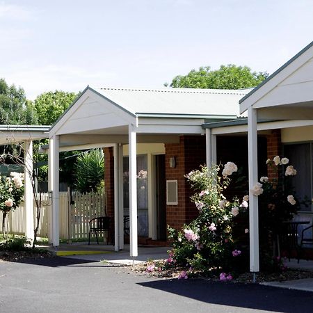 Rose Garden Motel Джелонг Екстер'єр фото