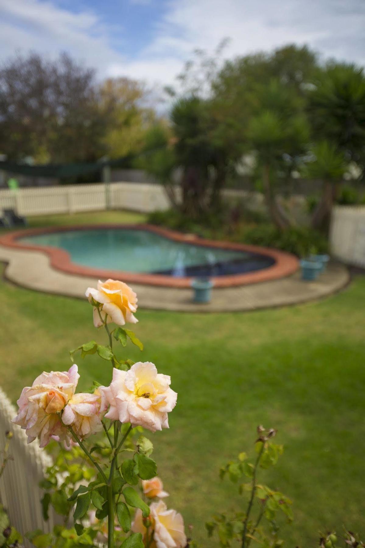 Rose Garden Motel Джелонг Екстер'єр фото